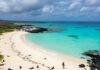 5 Secluded South American Beaches You Can Actually Visit in 2025 Tortuga Bay: Iguanas & Turquoise