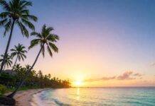 Top South Pacific Beaches for the Ultimate Digital Detox South Pacific Sunrise