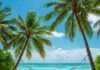 Tropical Beach Vacations You Can Afford Right Now: Top Budget Destinations Tropical Beach Hammock