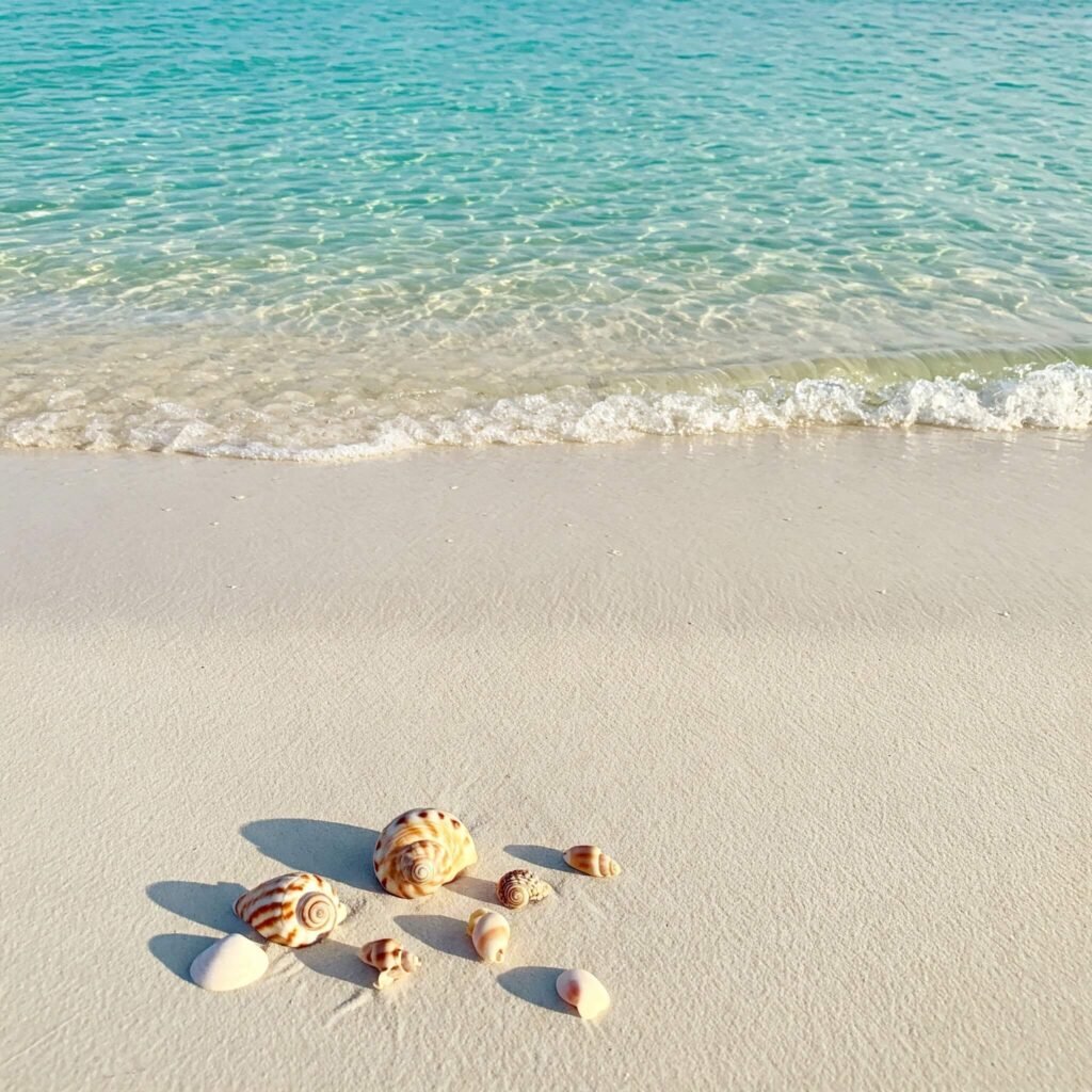 Soft Sands, Clear Water