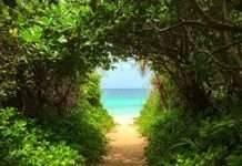 7 Hidden Beaches Near Goa Locals Love (Your Secret Escape Map!)