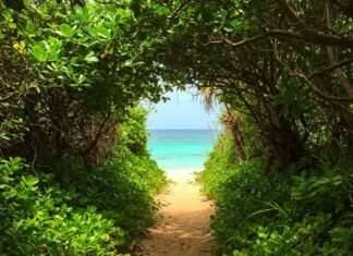 7 Hidden Beaches Near Goa Locals Love (Your Secret Escape Map!)