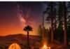 Camping Trip Guide: From Desert Tents to Forest Camps Desert vs. Forest Camp: Starry Night Adventure
