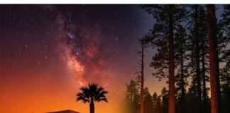 Desert vs. Forest Camp: Starry Night Adventure