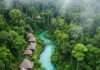 Wild and Wonderful: Best Jungle Stay Experiences You Can’t Miss Lush Jungle Resort Aerial View