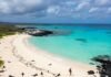 5 Secluded South American Beaches You Can Actually Visit in 2025 Tortuga Bay: Iguanas & Turquoise