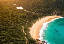 Beach Destinations with Hidden Hiking Trails for Adventurers