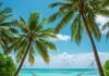 Tropical Beach Vacations You Can Afford Right Now: Top Budget Destinations Tropical Beach Hammock