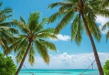 Tropical Beach Vacations You Can Afford Right Now: Top Budget Destinations Tropical Beach Hammock
