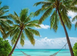Tropical Beach Vacations You Can Afford Right Now: Top Budget Destinations Tropical Beach Hammock