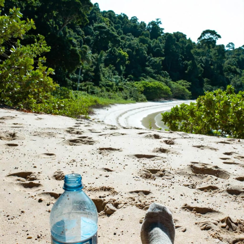 Shaky golden-hour cove view with flying towel and bird