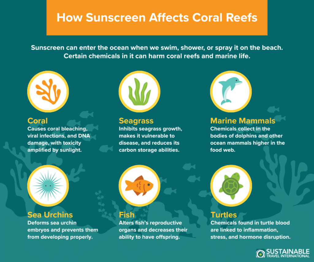 Me rubbing in reef-safe sunscreen on a sunny beach day – part of trying eco-friendly beach travel.