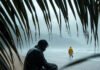Best Monsoon Beach Spots for Rainy Day Relaxation Misty monsoon beach view through rain-streaked palm leaves.