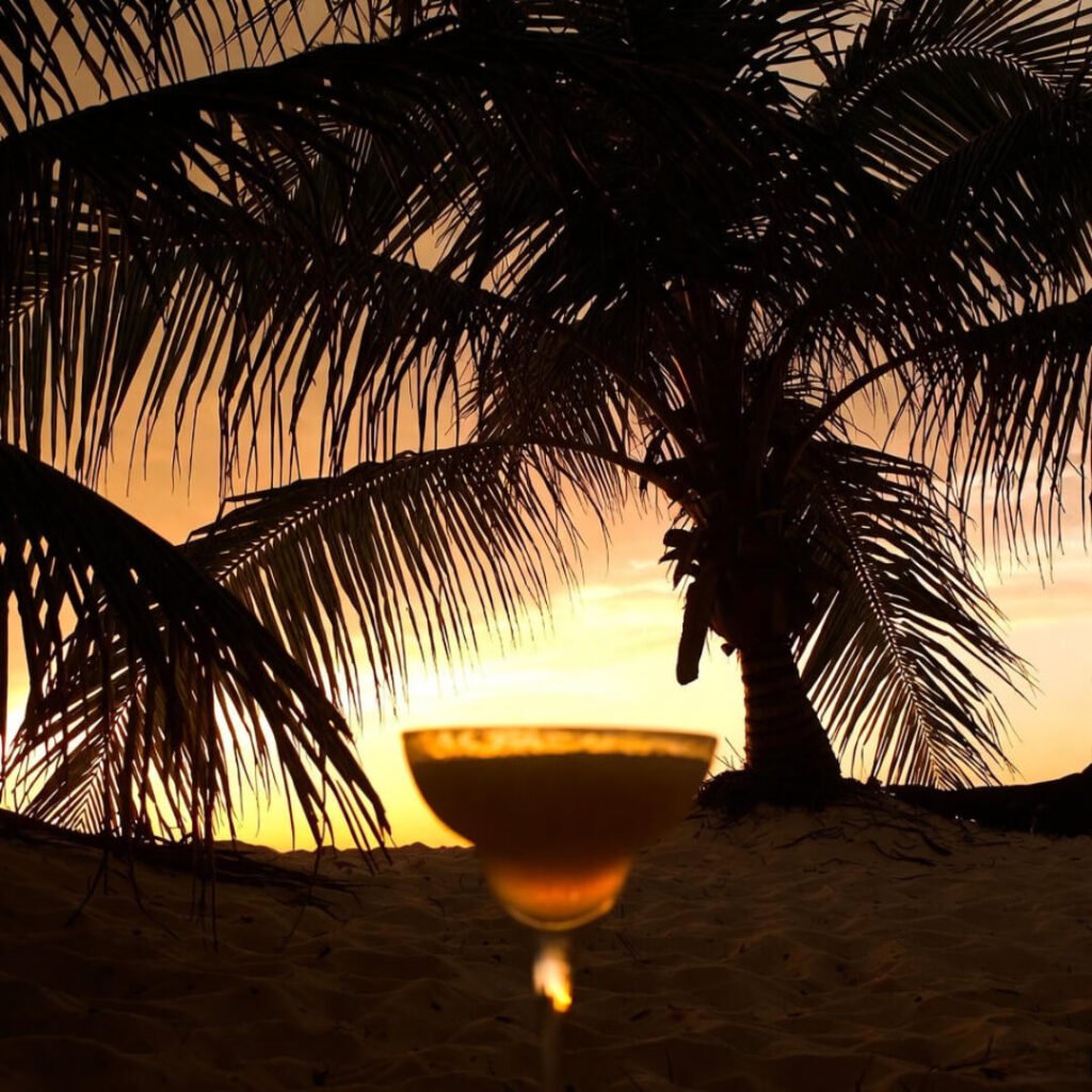 Sunset palms framing cheap cocktail view.