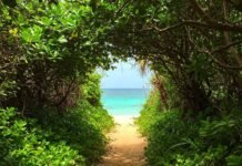 7 Hidden Beaches Near Goa Locals Love (Your Secret Escape Map!)