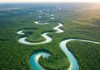 Why Staying by the River Is the Perfect Escape You Didn’t Know You Needed Aerial River Through Forest