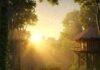 Stay in the Heart of Nature: Top Jungle Retreats Around the World Jungle Sunrise Retreat: Lodge in Rainforest