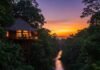 Where Adventure Meets Comfort: Best Jungle Stays to Book Now Jungle Retreat at Dusk: Treehouse & Sunset Reflection