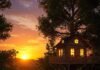 Live Among the Trees: Best Treehouse Stays for a Fairytale Vacation Dreamy Sunset Treehouse Escape