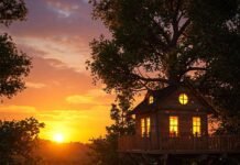 Live Among the Trees: Best Treehouse Stays for a Fairytale Vacation Dreamy Sunset Treehouse Escape