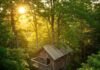 Nature Lover’s Escape: Best Treehouse Retreats for a Unique Holiday Treehouse Escape in Golden Light