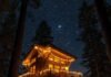 Sleep Above the Forest Floor: Unique Treehouse Stays You’ll Love Breathtaking Illuminated Treehouse Under Starry Sky