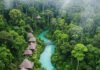 Wild and Wonderful: Best Jungle Stay Experiences You Can’t Miss Lush Jungle Resort Aerial View