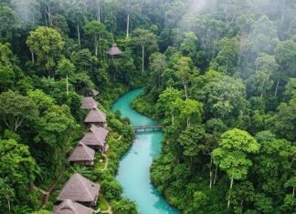 Wild and Wonderful: Best Jungle Stay Experiences You Can’t Miss Lush Jungle Resort Aerial View