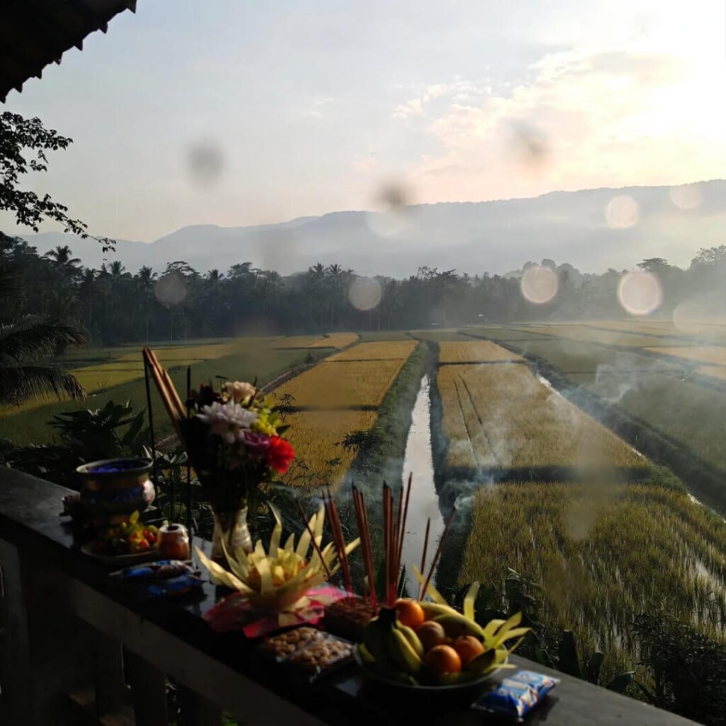 Hazy morning view from my Bali authentic village stay, still half-asleep capturing the quiet magic.