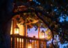 Sleep Above the Forest Floor: Unique Treehouse Stays You’ll Love Twilight lantern-lit treehouse deck with forgotten coffee mug.