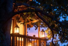 Twilight lantern-lit treehouse deck with forgotten coffee mug.