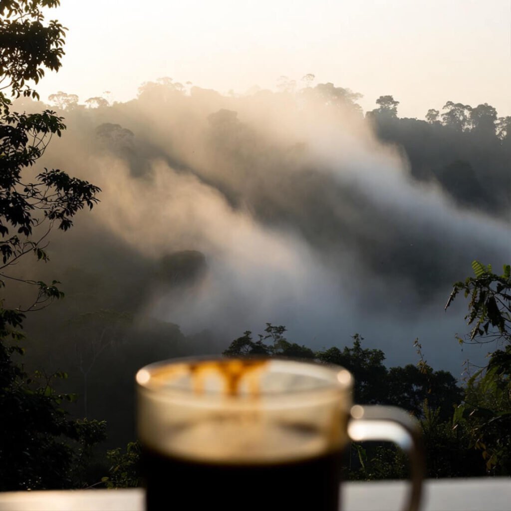 Misty rainforest sunrise view with coffee mug.