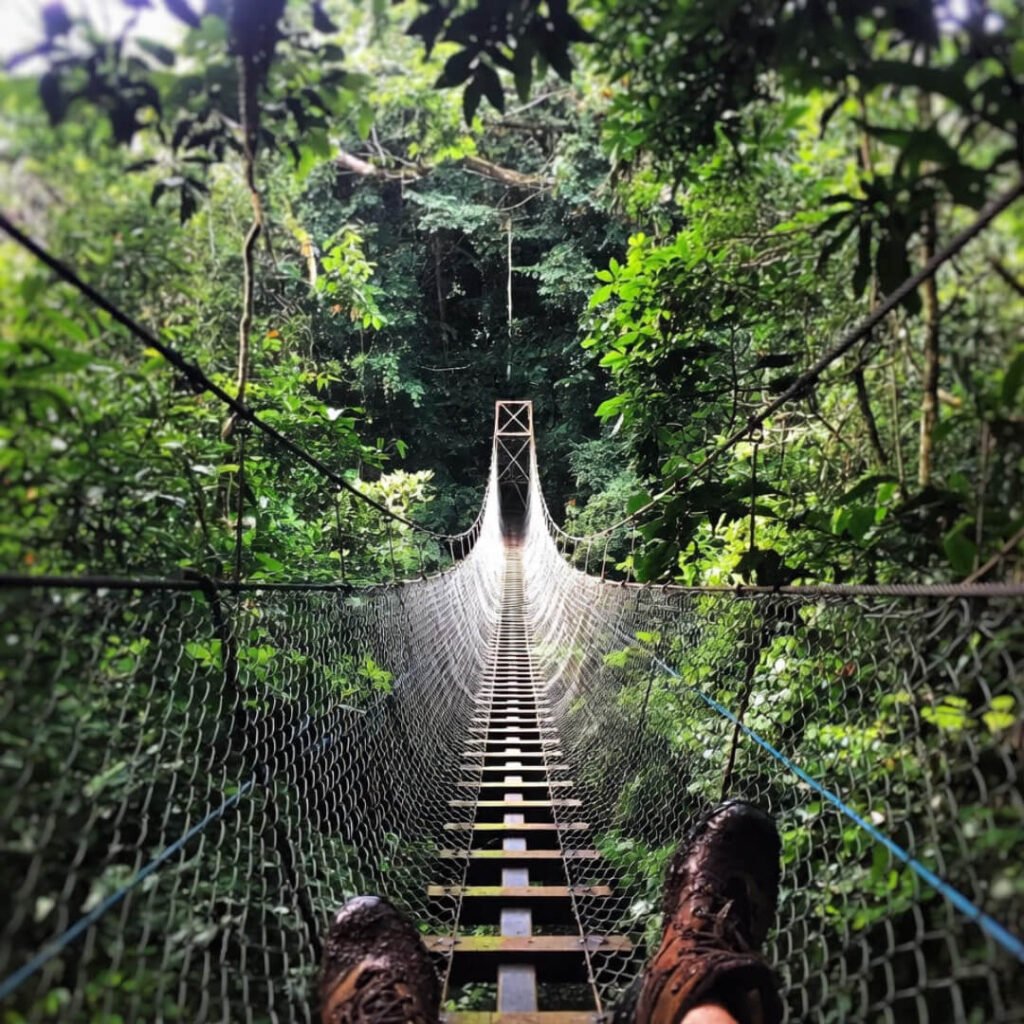 Muddy boots approaching jungle canopy bridge.
