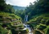 The Ultimate Travel to Bali Guide: Best Places, Food & Hidden Gems Lush jungle path to hidden tropical beach.