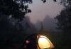 Top 10 Luxurious Camps to Stay in for an Unforgettable Wilderness Experience Glowing tent in misty forest dusk.